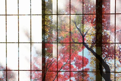 Window, Around the Clock Glass Service